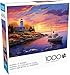 Buffalo Games Imagine It Marina at Sunset 1000 Piece Jigsaw Puzzle for Adults Challenging Puzzle Perfect for Game Nights Finished Size is 2675 x 1975 - Image 2
