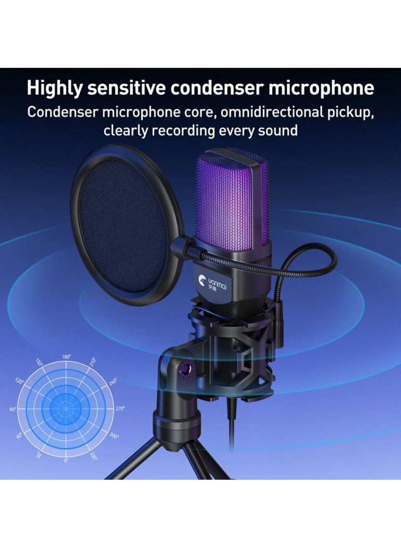 Professional Microphone SF-777R - Image 5