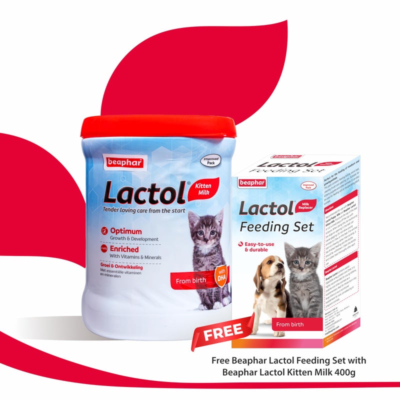 beaphar طعام حليب القطط حديثي الولادة من بيفار لاكتول مع DHA والفيتامينات والمعادن، بديل حليب القطط، مجموعة تغذية لاكتول مجانية - 400 جرام - Image 2