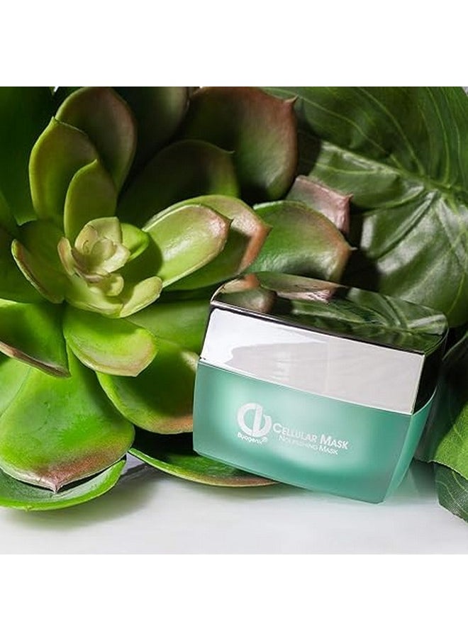 Christine Valmy Christine Valmy Super-Hydrating Cellular Face Mask, 1.0 Ounce  - Image 5