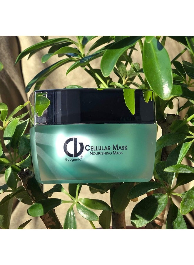 Christine Valmy Christine Valmy Super-Hydrating Cellular Face Mask, 1.0 Ounce  - Image 4
