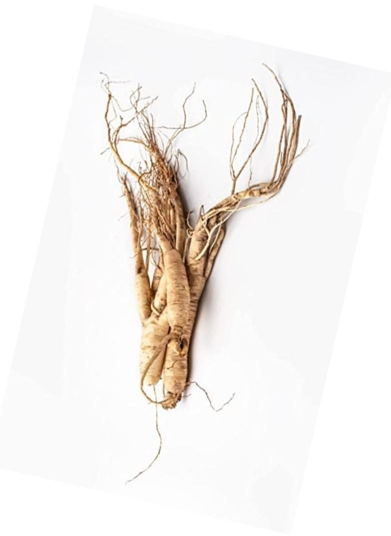 Red Ginseng Instant Tea Granules Natural Ginsenosides Extra Strength Healthy Immunity Vitality Boost Energy 20 Sachet