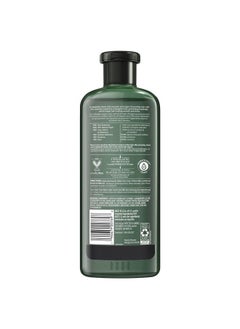 Avocado & Argan Oil Sulfate Free Shampoo 13.5 Fl Oz - pzsku/Z62B89F2703E70B8DF513Z/45/_/1683531622/e5de5b17-1ecc-438a-8c2c-7374ce93e24e