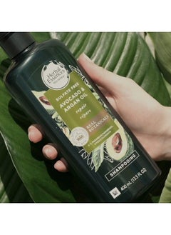 Avocado & Argan Oil Sulfate Free Shampoo 13.5 Fl Oz - pzsku/Z62B89F2703E70B8DF513Z/45/_/1683531623/961c7548-100e-4a41-abaa-abcef442cf83