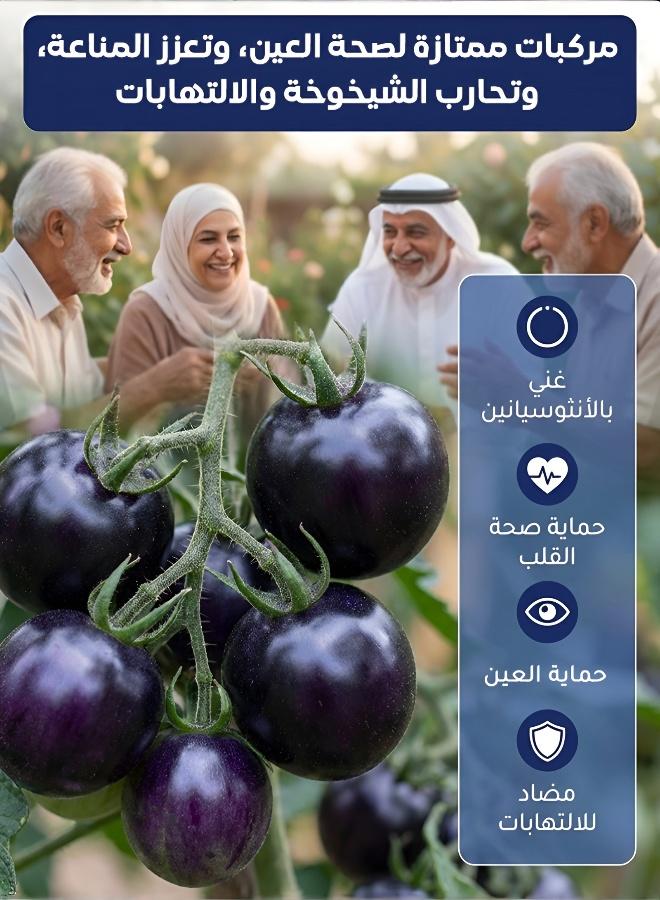 بذور طماطم سوداء فاخرة عالية الإنتاجية - نكهة غنية ولون نابض بالحياة - Image 4