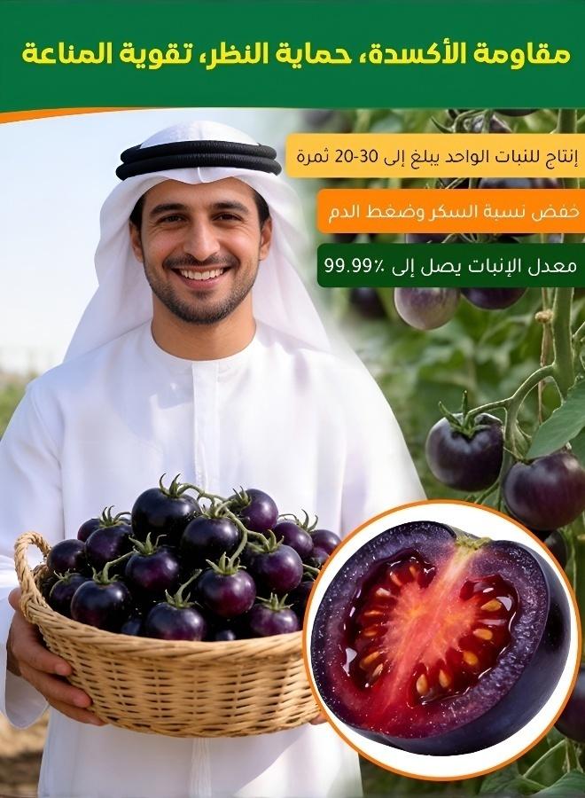 بذور طماطم سوداء فاخرة عالية الإنتاجية - نكهة غنية ولون نابض بالحياة - Image 1