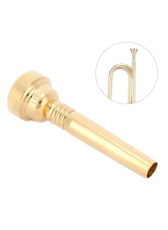 Trumpet Mouthpiece Gold Fashionable Look Beginner Musical Instrument Accessories 17C - pzsku/Z62B8B397B12A274D2E75Z/45/_/1734084117/a4d778a6-6920-4267-81e2-47bd784fd665