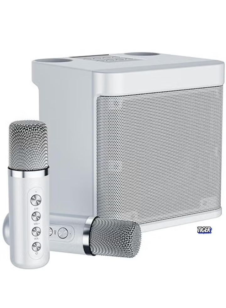TIGER Karaoke Machine with 2 Wireless Microphones | Portable Bluetooth PA Speaker with Echo & Vocal Cut | Supports TF, AUX-in, USB Flash Drive | Ideal for Indoor & Outdoor Parties, Family Karaoke & Entertainment - Image 1