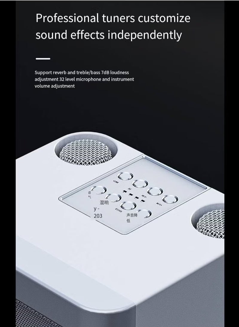 TIGER Karaoke Machine with 2 Wireless Microphones | Portable Bluetooth PA Speaker with Echo & Vocal Cut | Supports TF, AUX-in, USB Flash Drive | Ideal for Indoor & Outdoor Parties, Family Karaoke & Entertainment - Image 4