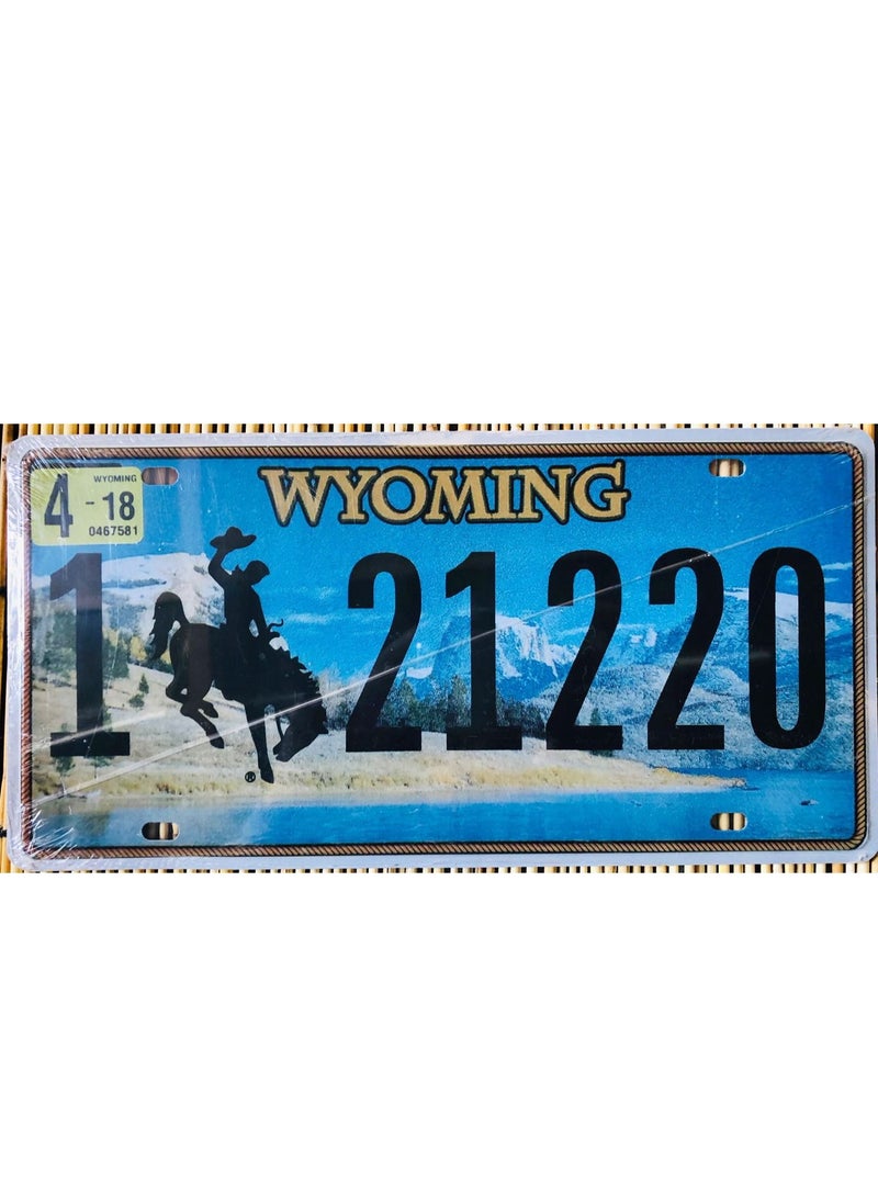 FFD Metal Wall Plate Tin Sign Metal Poster Plate Painted Modern Design Car Plate Tin Wall Art Signs Cafe Thick Tinplate Wall Decoration Print Poster - Image 2