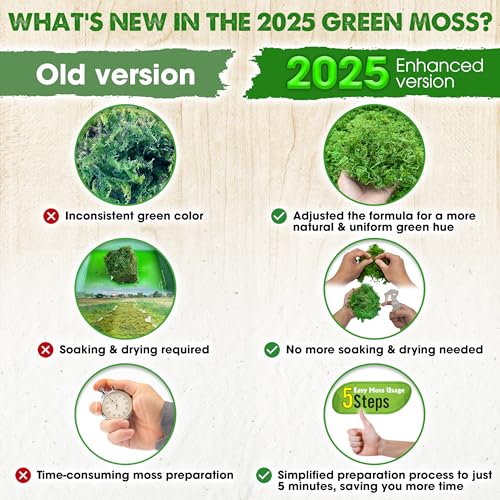 Duspro [Upgraded] DUSPRO Green Moss for Crafts, Real Forest Moss Potted Plants, Decorative Mosses for Table Centerpieces Wedding Christmas Fairy Party Decor, Indoor Planters, DIY Project (5 oz) - Image 3