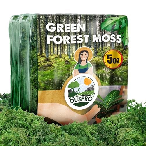 Duspro [Upgraded] DUSPRO Green Moss for Crafts, Real Forest Moss Potted Plants, Decorative Mosses for Table Centerpieces Wedding Christmas Fairy Party Decor, Indoor Planters, DIY Project (5 oz) - Image 1
