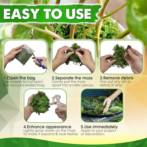 Duspro [Upgraded] DUSPRO Green Moss for Crafts, Real Forest Moss Potted Plants, Decorative Mosses for Table Centerpieces Wedding Christmas Fairy Party Decor, Indoor Planters, DIY Project (5 oz) - Image 4
