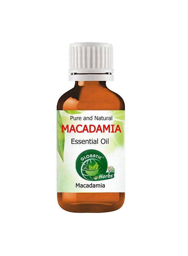 Globatic Herbs MACADAMIA Essential Oil 100ml (Macadamia) Organic, Undiluted, Aromatherapy & 100% Therapeutic Grade - Image 1