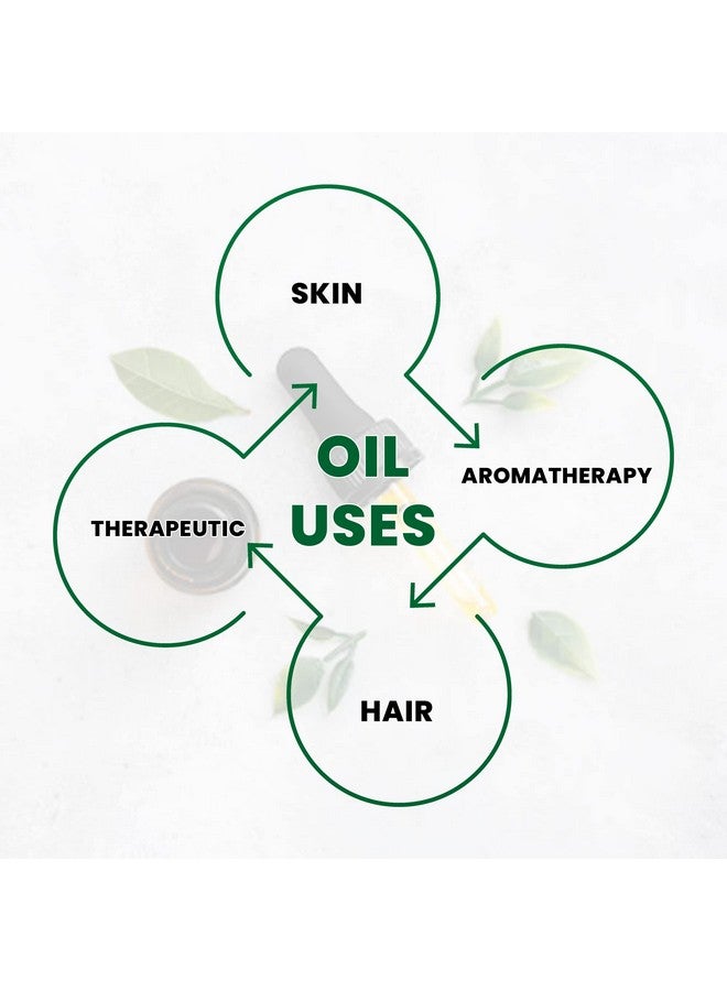 Globatic Herbs MACADAMIA Essential Oil 100ml (Macadamia) Organic, Undiluted, Aromatherapy & 100% Therapeutic Grade - Image 3