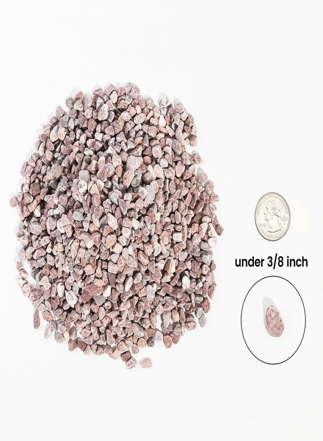 CONSDAN 2 LBS Natural Gravel for Fish Tank, StoneCreek Betta Fish Aquarium Gravel, Vase Filler, River Rocks, Fish Tank Decorations, Perfect for Aquarium Decor, Fish Tank, & Indoor Plant, Red - Image 2