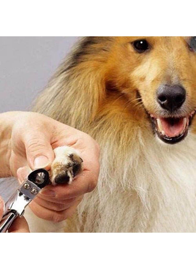 Golden Arrows Nail Trimmer And Claw Clipper For Dogs And Cats  - Image 4