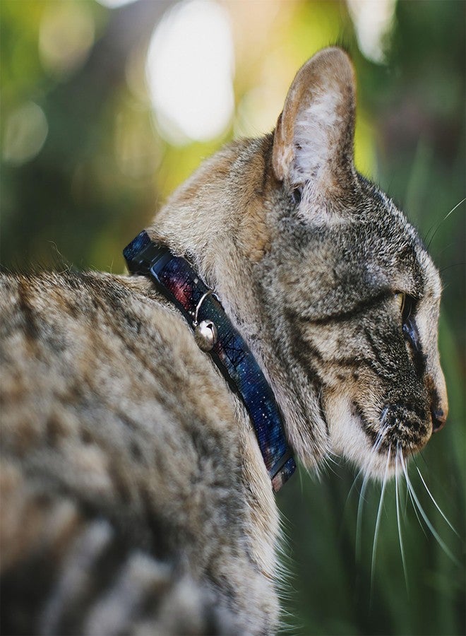Buckle Down Cat Collar Breakaway Space Dust Collage 8 to 12 Inches 0.5 Inch Wide - Image 2
