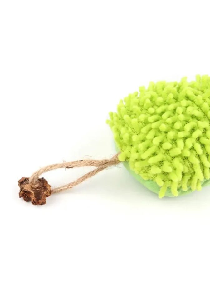 Catnip Toys for Cats, Interactive Plush Chew Toy, Soft and Durable Catnip Toy for Kittens, Soft Pet Toy (Silkworm)