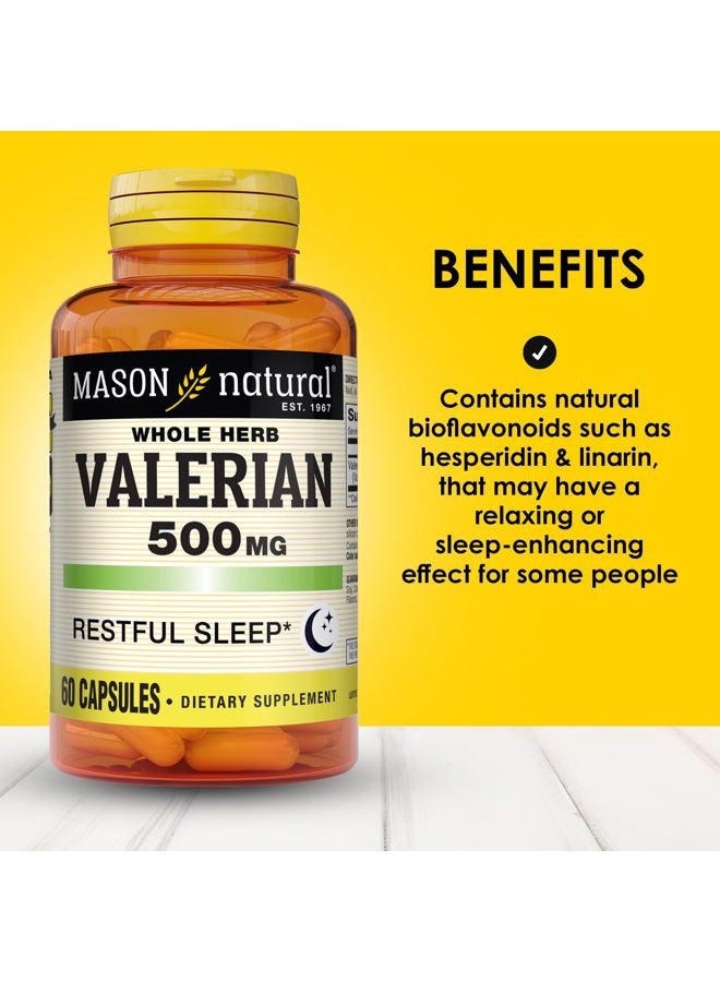 Mason Natural Valerian Root 500 mg, 6 Month Supply, Natural Sleep Aid, Promotes Healthy & Restful Sleep, Herbal Supplement, 3 Pack  - Image 2