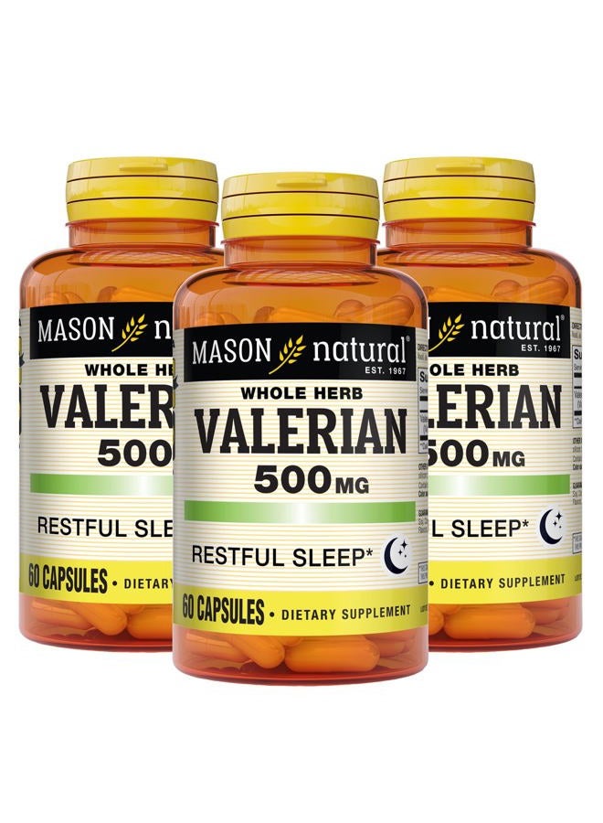 Mason Natural Valerian Root 500 mg, 6 Month Supply, Natural Sleep Aid, Promotes Healthy & Restful Sleep, Herbal Supplement, 3 Pack  - Image 1
