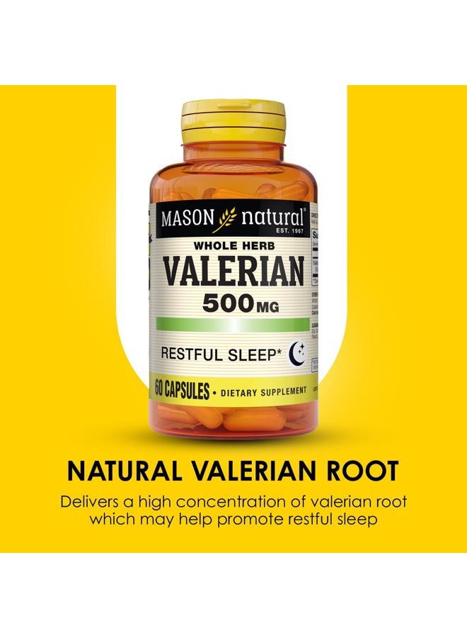 Mason Natural Valerian Root 500 mg, 6 Month Supply, Natural Sleep Aid, Promotes Healthy & Restful Sleep, Herbal Supplement, 3 Pack  - Image 4