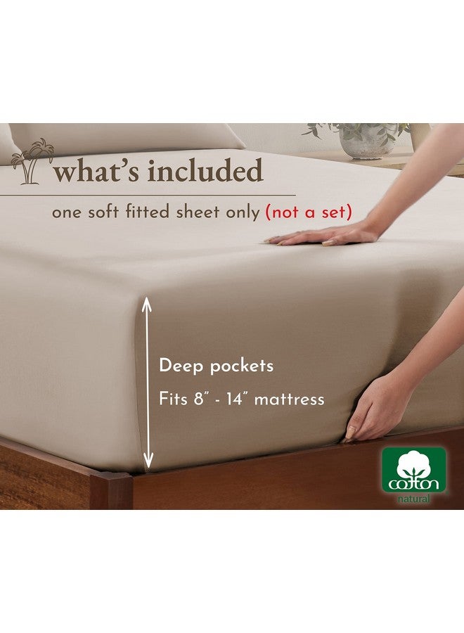 California Design Den California Design Den Queen Fitted Sheet Only, Soft 100% Cotton Sateen, Deep Pocket, Durable All-Around Elastic, Head/Foot Side Indicators, Beige Fitted Sheet Queen - Image 2