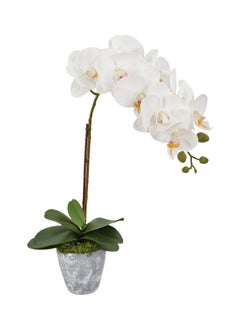 Yatai Artificial Orchid Flowers 55cm White/Green  - Image 1