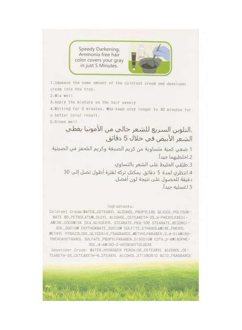 Global Star Apple Pro Ammonia Free Hair Color - Dark Brown - Image 2