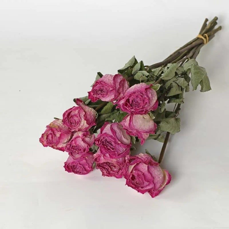 Bluejw Real Natural Dried Roses Bouquet Long Stem, Cheap Dried Plants Flower Arrangement for Home Decor - Image 1