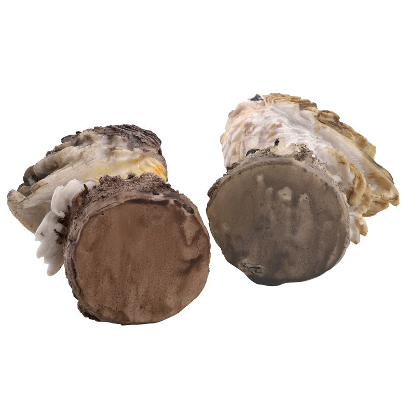 DEAYOU 2 Pack Fake Horned Owl Statues, 7" Tall Small Resin Owl Sculpture, Artificial Owl Figurines for Garden, Vivid Faux Outdoor Owls for Ornament, Yard, Indoor Decor, Home (White, Black) - Image 5
