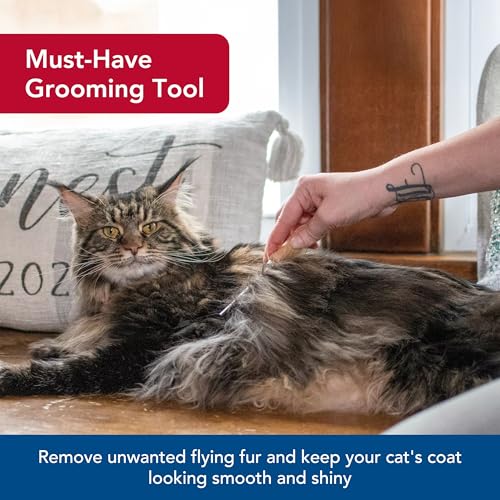 Coastal Pet Safari Cat Shedding Comb - Prevents Hairballs - Daily-Use Cat Deshedding Brush - for Cats with Short and Long Hair - One Size - Image 3