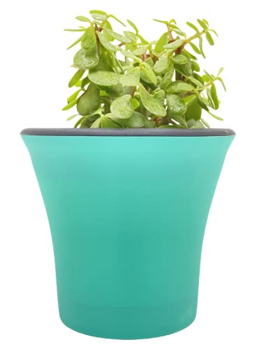 garbnoire Self Watering Flower pots 6” Virgin Plastic Indoor Outdoor Balcony Flower Pot with Outer Flower Pot and Inner Plate- Pack of (Turquoise, 3) - Image 5