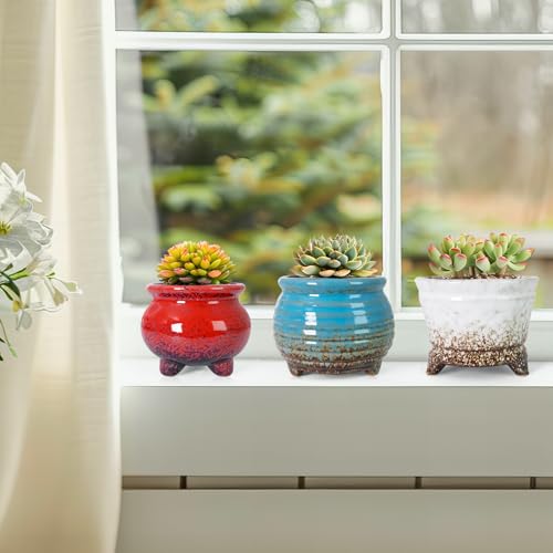 ARTKETTY Succulent Pots - Small Succulent Plant Pot with Drainage Pack of 6, Ceramic Cactus Planter Pots for Indoor Unique Flower Planter Container for Home Office Decor - Image 3