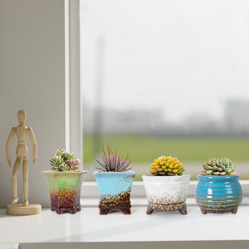 ARTKETTY Succulent Pots - Small Succulent Plant Pot with Drainage Pack of 6, Ceramic Cactus Planter Pots for Indoor Unique Flower Planter Container for Home Office Decor - Image 4