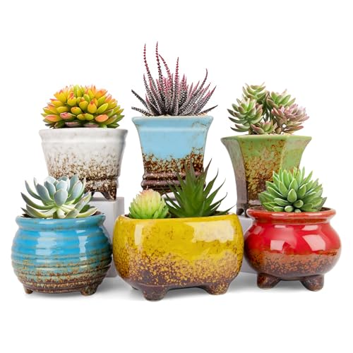 ARTKETTY Succulent Pots - Small Succulent Plant Pot with Drainage Pack of 6, Ceramic Cactus Planter Pots for Indoor Unique Flower Planter Container for Home Office Decor - Image 1