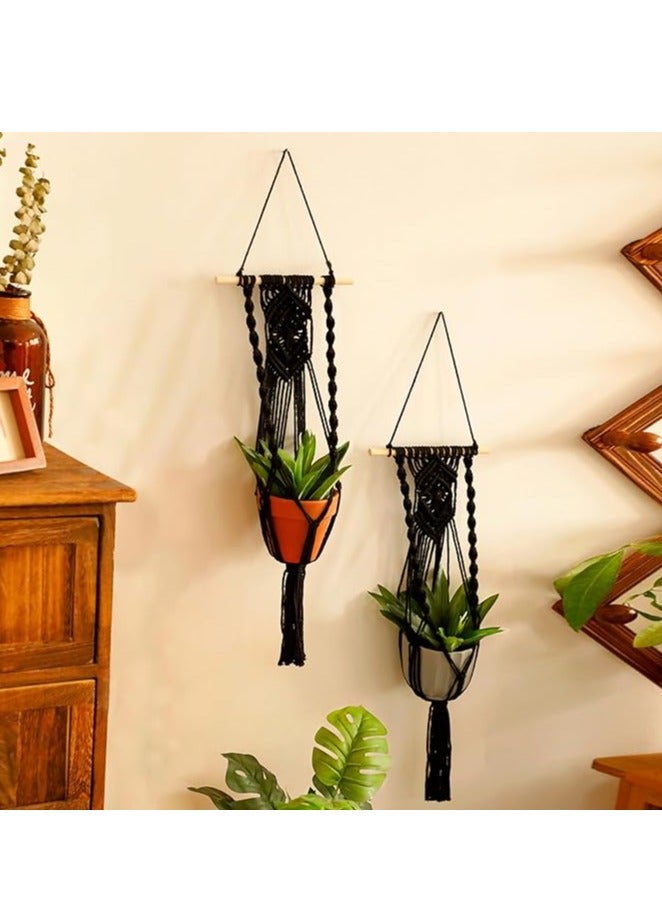 انتيكيانو بلانت - Image 2