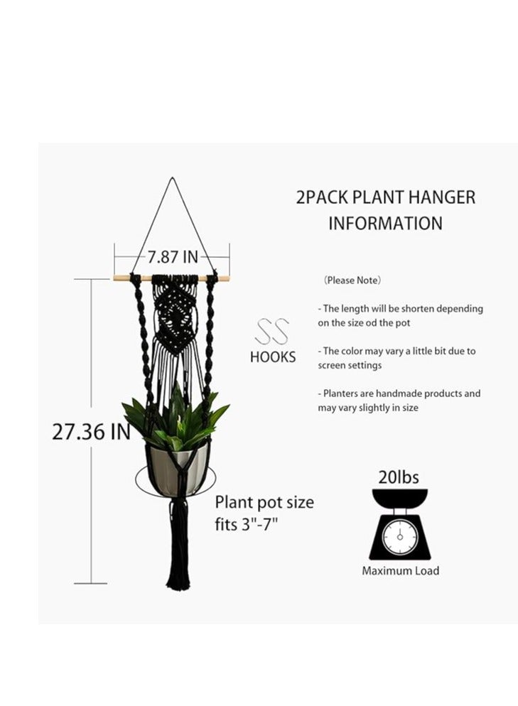 انتيكيانو بلانت - Image 5