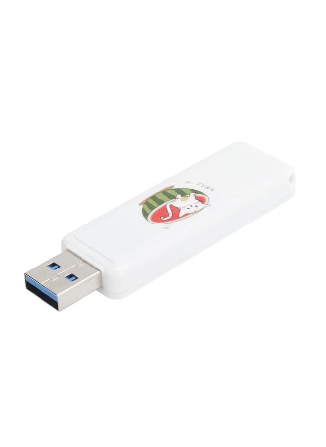 Thoraya USB2.0 USB disk Creative computer car USB disk push and pull USB disk watermelon cat 16GB  - Image 4