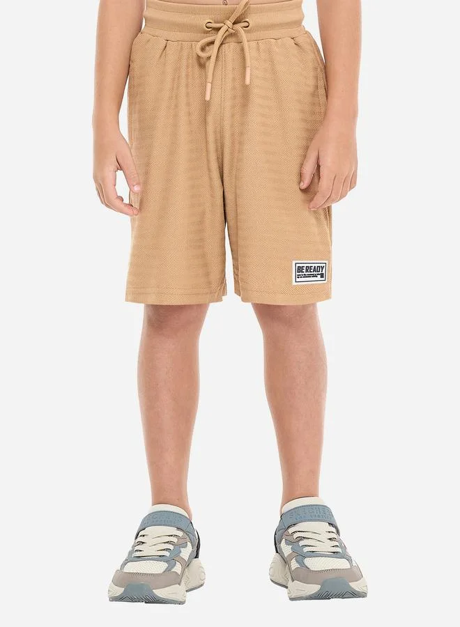 victor and jane Victor And Jane Boys Brown Embroidered T-Shirt and Shorts Set
