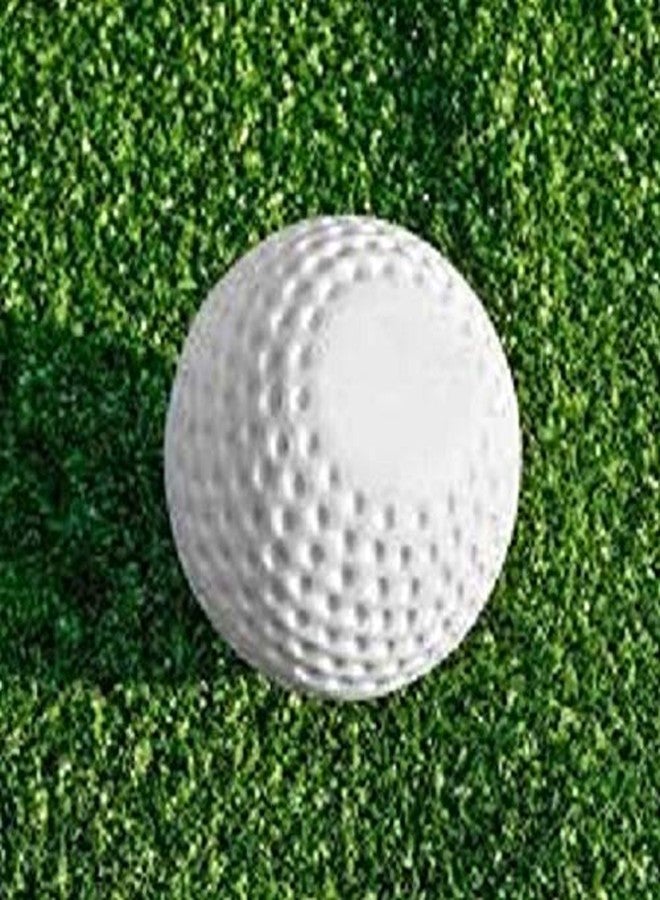 TRUBIOLOGY Training Practice Ball Field Hockey Ball Cricket Training and Hockey Balls - Image 2