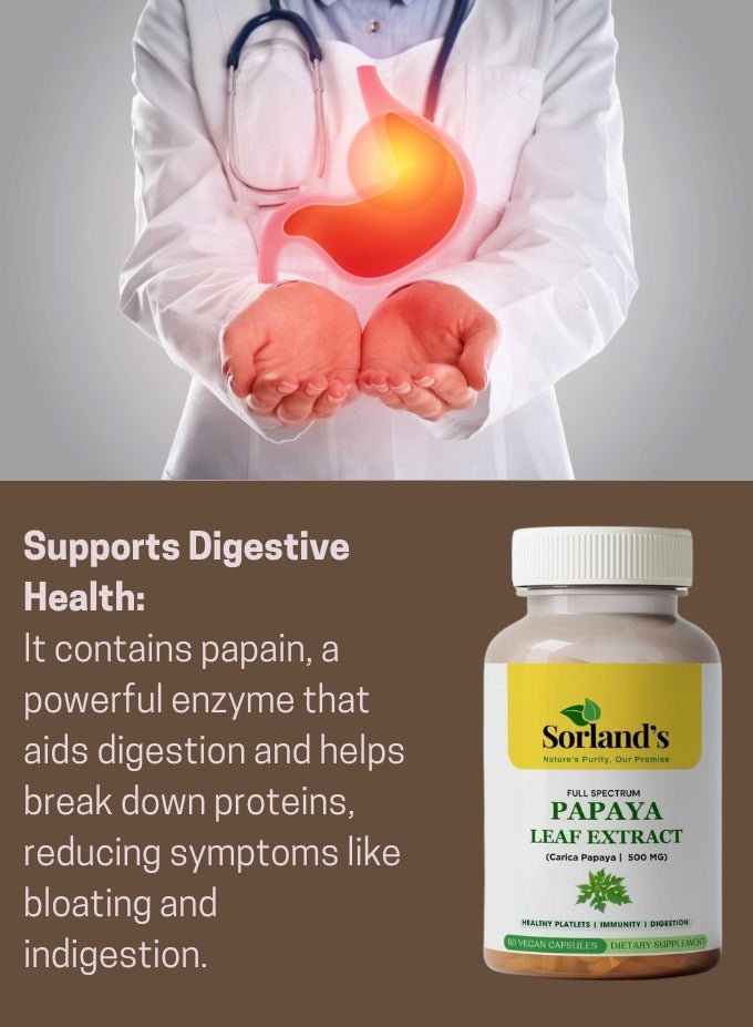 Sorland's Papaya Leaf Extract (Carica Papaya) -60 Vegan Capsules - Image 3