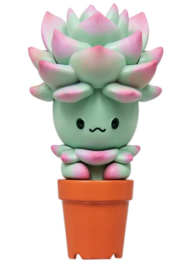 Qualia Tokyo Succulent Friends Blind Box Plastic Toy- Blind Box Includes 1 of 5 Collectable Figurines - Fun, Versatile Decoration - Authentic Japanese Design - Made from Durable Plastic - Image 5