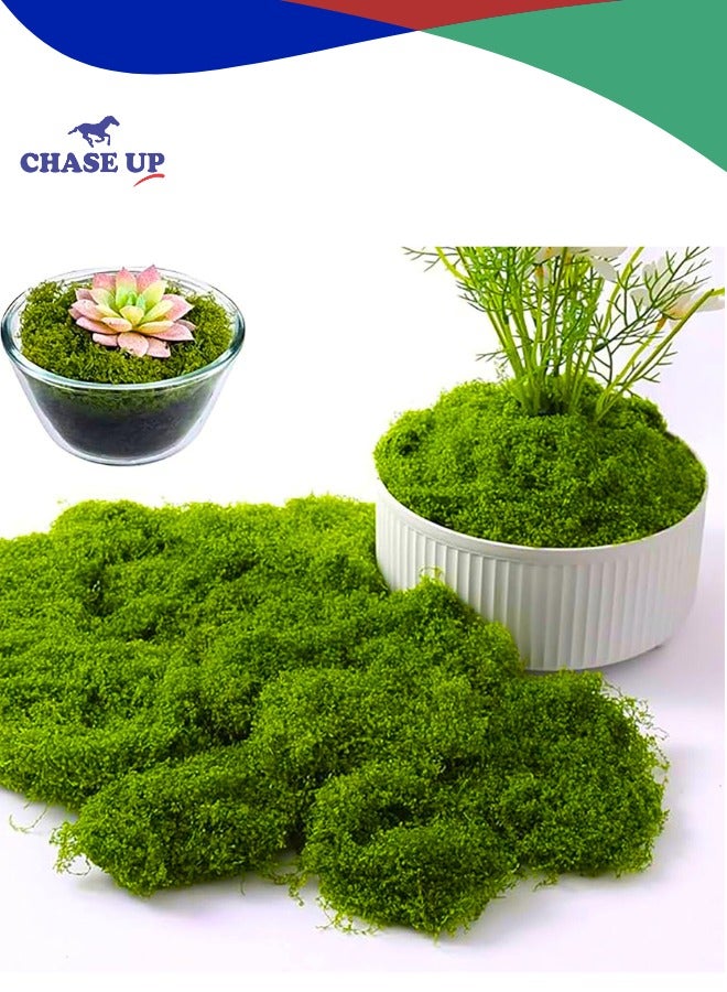 Chase Up Fake Moss,Faux Moss for Plants Indoor Fake Green Moss for Potted Plants 3.5OZ Moss Decor Artificial Faux Moss Crafts Preserved Moss DIY Decorative Moss Table Centerpieces Decor Garden Floral Wedding  - Image 1