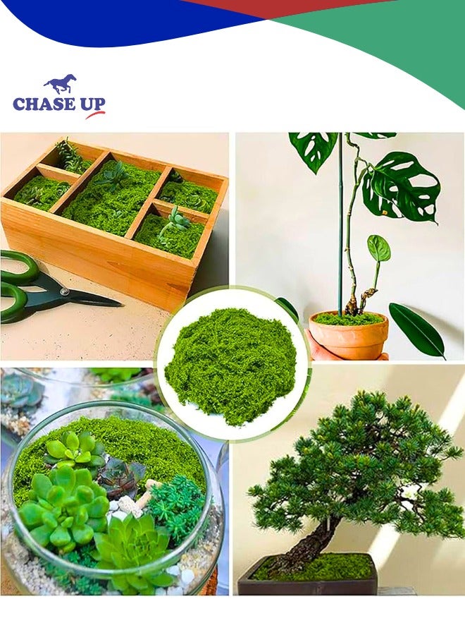 Chase Up Fake Moss,Faux Moss for Plants Indoor Fake Green Moss for Potted Plants 3.5OZ Moss Decor Artificial Faux Moss Crafts Preserved Moss DIY Decorative Moss Table Centerpieces Decor Garden Floral Wedding  - Image 2
