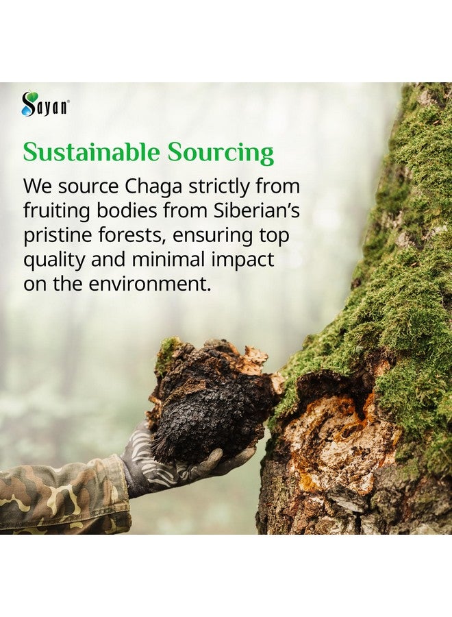 Sayan Siberian Chaga Mushroom Extract - 90 Capsules/420mg ea - Natural & Wild-Harvest Antioxidant Supplement - Immune System Support & Regulate Body Functions - Vegan, Non-GMO, No Fillers or Additives - Image 5