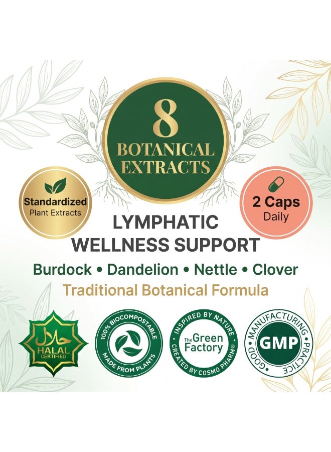 Cosmo Pharm Lymphatic Health with 8 Plant Extracts | Supports the Lymphatic System & Healthy Fluid Balance | 90 Vegetable Capsules - Image 5
