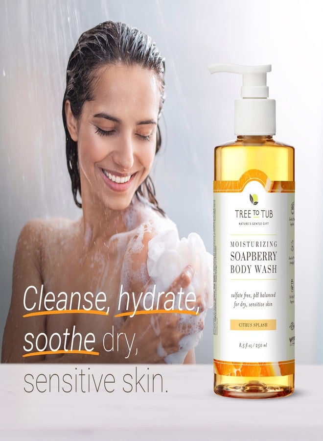 Tree to Tub Citrus Body Wash for Dry Skin & Sensitive Skin - pH Balanced Moisturizing Body Wash, Hydrating Sulfate Free Body Soap for Women & Men w/Organic Shea Butter, Aloe Vera, Natural Soapberry - Image 2
