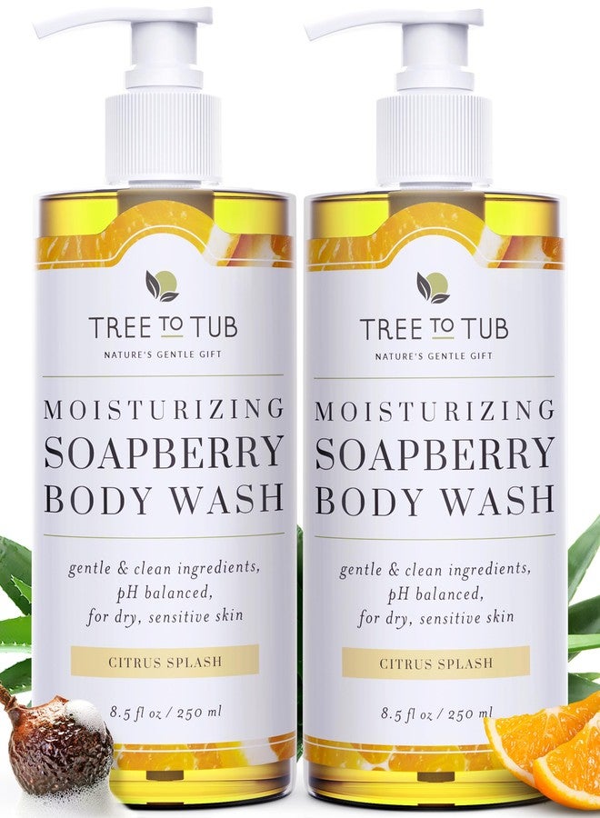 Tree to Tub Citrus Body Wash for Dry Skin & Sensitive Skin - pH Balanced Moisturizing Body Wash, Hydrating Sulfate Free Body Soap for Women & Men w/Organic Shea Butter, Aloe Vera, Natural Soapberry - Image 1