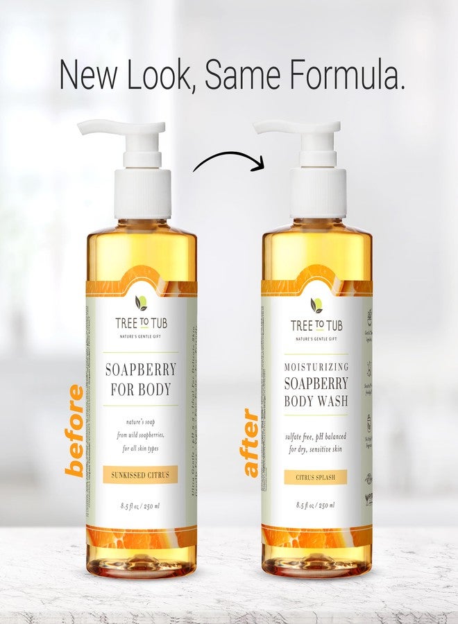 Tree to Tub Citrus Body Wash for Dry Skin & Sensitive Skin - pH Balanced Moisturizing Body Wash, Hydrating Sulfate Free Body Soap for Women & Men w/Organic Shea Butter, Aloe Vera, Natural Soapberry - Image 4
